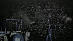 Earth Hour 2011