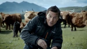 Bear Grylls Gets a Good Night's Sleep