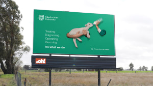 BWM Dentsu releases first work for Charles Sturt University