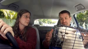 Anyone Can Drive Your Car