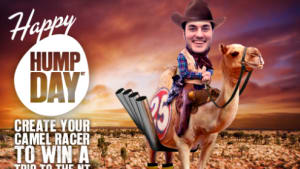 Hump Day