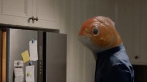 Goldfish and man unite to promote new payments platform, PayID