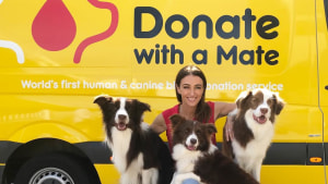 Pedigree asks dogs and humans to donate blood together