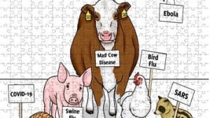 PETA sends Scott Morrison an 'essential' puzzle