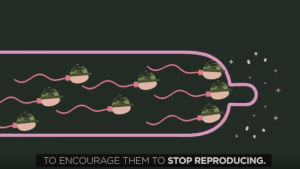 PETA pranks hunters; stops them from procreating 