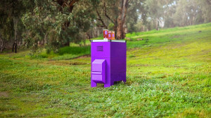 Bega and Thinkerbell launch Purple Hive Project to protect Australian bees