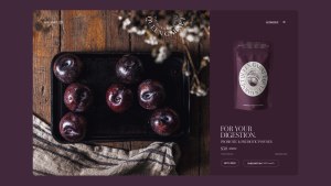 Nightjar launches new brand and site for a plum