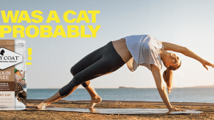 Ivory Coat's 'For pets as healthy as you' via The Royals
