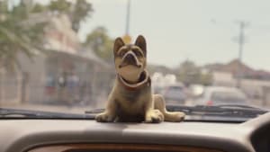 Never leave your dog behind, says RSPCA