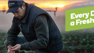 Countdown celebrates the 'freshness' of every day via M&C Saatchi