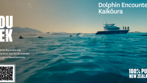 Tourism New Zealand's 'IF YOU SEEK' via DDB Aotearoa & RUN