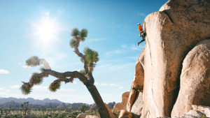 Visit California's 'Let's Play'