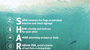 Queensland Government launches shark safety campaign via GrowthOps Brisbane
