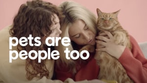 PetCulture petitions for PETernity policies with Eleven and TBWA Sydney