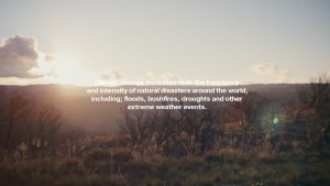Levi's partners with Habitat for Humanity Australia