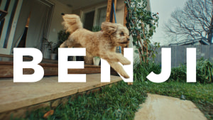 Pure Animal Wellbeing ‘Best Life Ever’ via Princess 