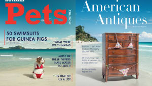 Snickers trolls Sports Illustrated with Guinea Pig