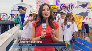 Snuffy the Seal