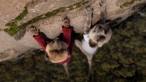 Compare the Market's meerkats return in new TVC