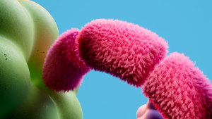 Life-Space Probiotics explore the ‘Connection at play’ in your gut via Wunderman Thompson