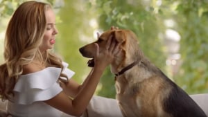 Angie Kent stars in Daily Dog campaign via Stratosphere