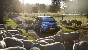 GIO 'Protects Precious' in new brand platform via Ogilvy