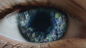 Australians urged to donate their focus to protect the reef via Rethink Everything