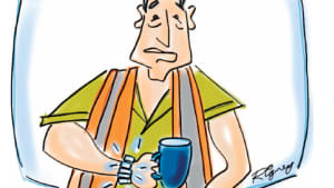 Rigney: Fake tradie