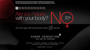 Shape Sensation