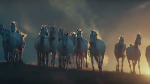 VCCP wants to power the UK with unicorns