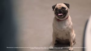 VW brings you deals you'll want to tell everyone about