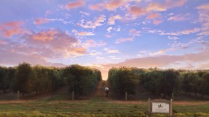 Wellgrove asks consumers to 'Get Wellgrove This Winter'
