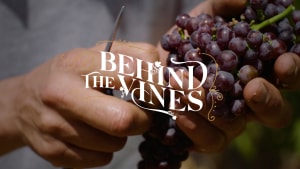 Wine Victoria connects wine lovers with the best of their backyard via Taboo
