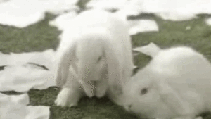 So soft, not so fancy