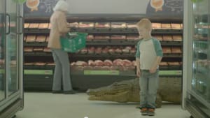 Aussie Animals
