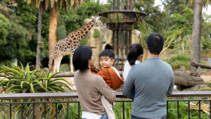 Eardrum encourages Victorians to 'get some zoo in you'
