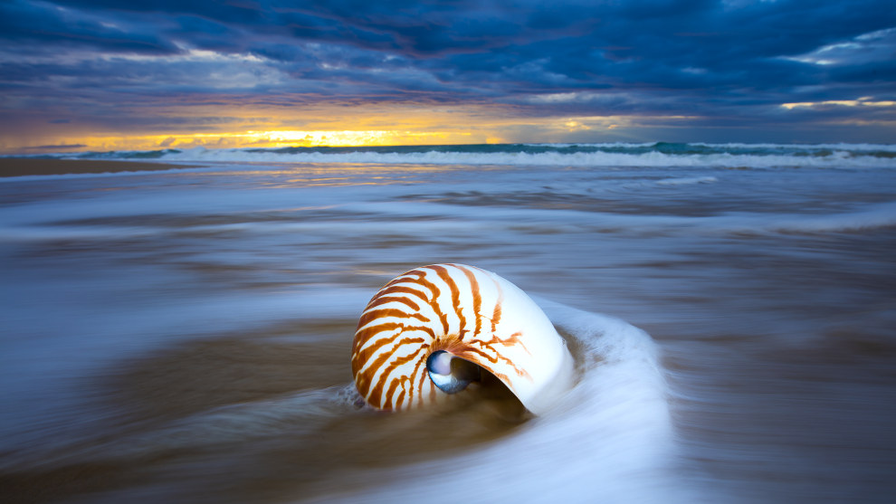 Fraser island &copy; Darran Leal