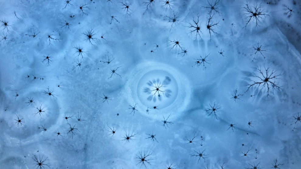 Runner up, Ice magic by Martin Mecnarowski