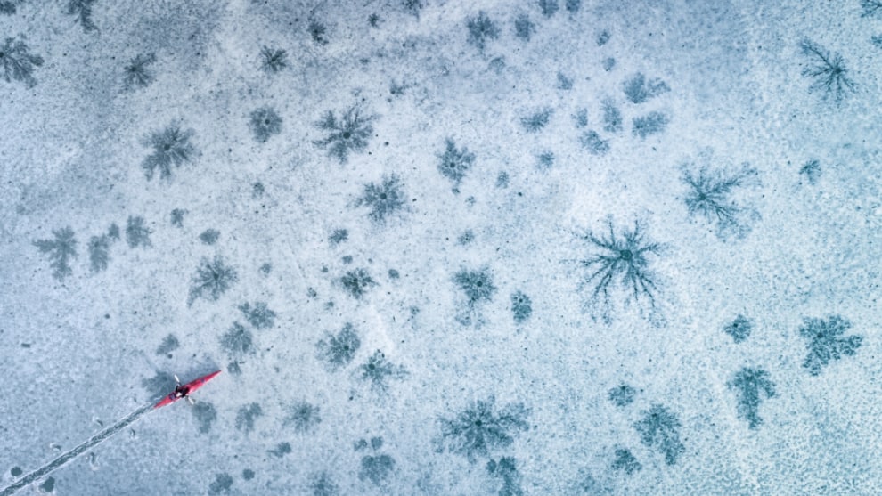 Highly commended, Red Kajak by Stefan Thaler