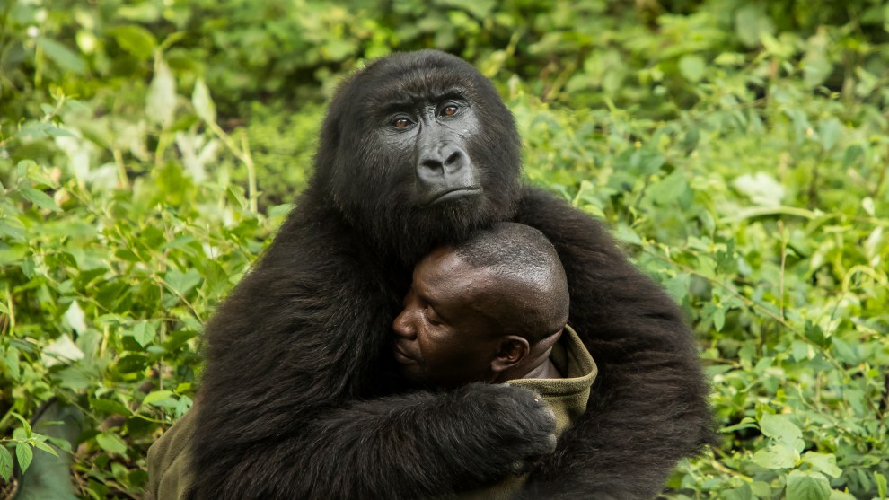 The Human Touch by James Gifford, Human/Nature Winner, Virunga National Park, Democratic Republic of the Congo.