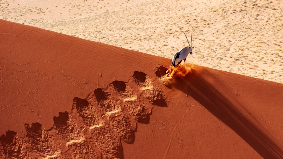 Traveling to the Edge by Buddy Eleazer. Terrestrial Wildlife Finalist. Namib-Naukluft Desert, Namibia.