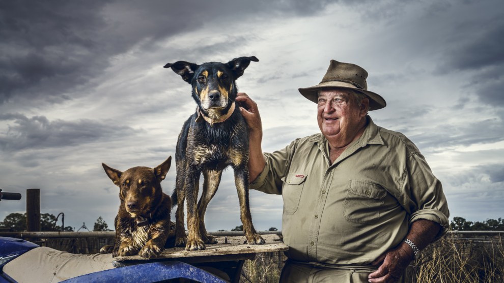 Category // Editorial &copy; David Sickerdick