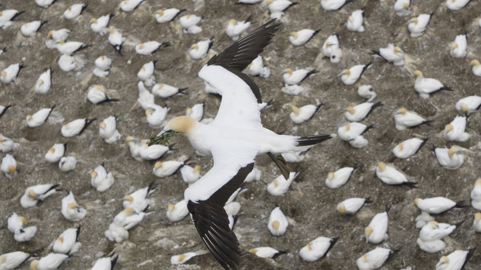 Category // Nature &copy; Robyn Waterhouse