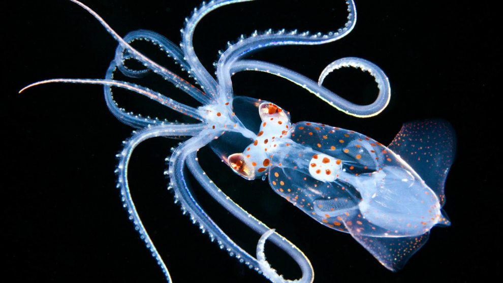 First place, macro.