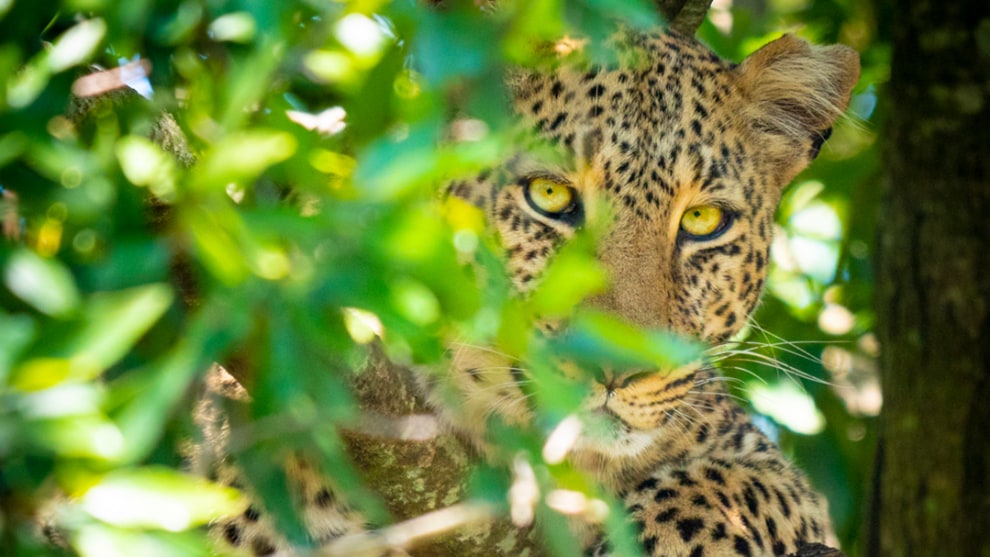 Learn the secrets of taking better photos.
