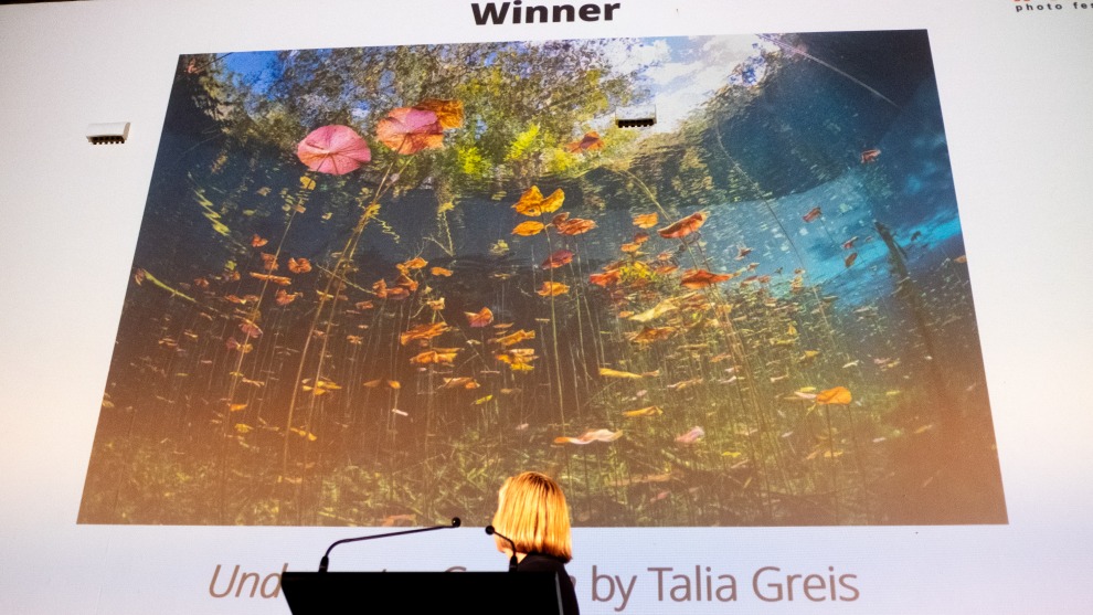 'Underwater Garden' by Talia Greis &ndash; winning image for Landscape Prize. Image: Tim Levy