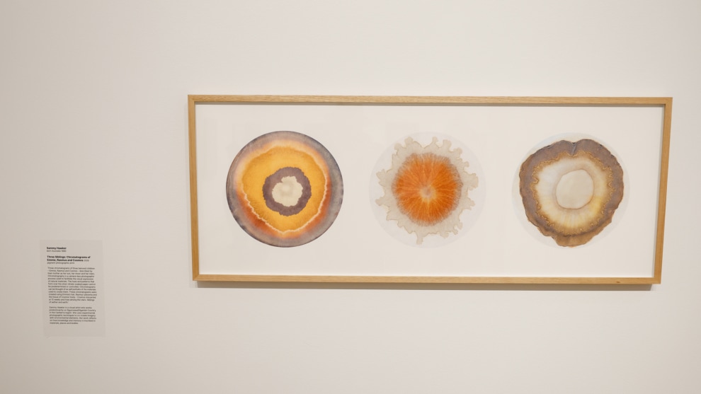 Three Siblings: Chromatograms of Emmie, Rasmus and Cosmos, 2026. Photo: Sammy Hawker. 
The National Photographic Portrait Prize 2026. Image: Tim Levy