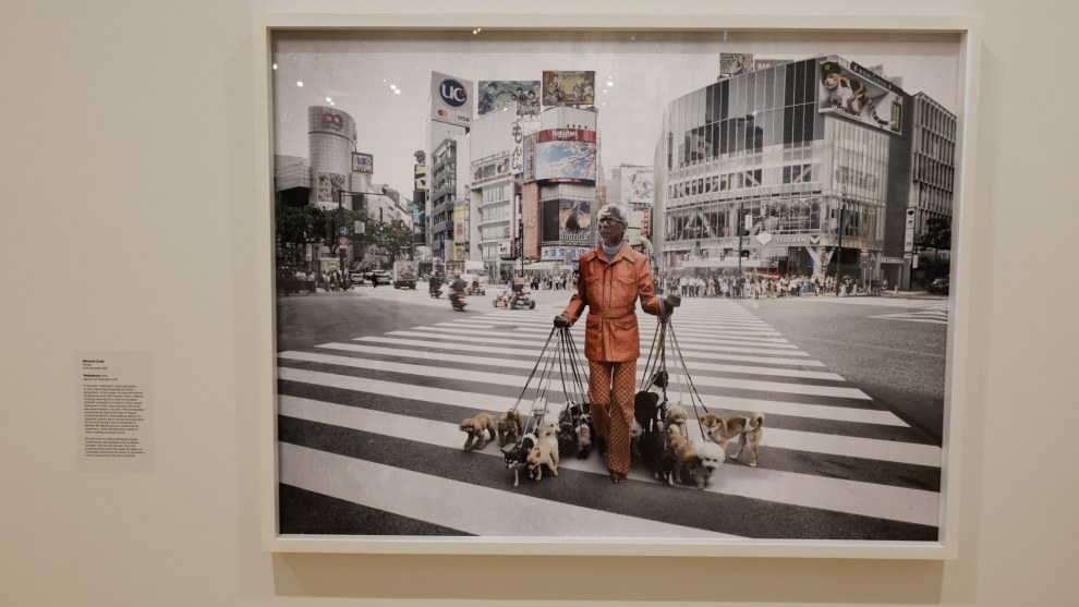 Walkabout, 2025
Photo: Michael Cook.
The National Photographic Portrait Prize 2026. Image: Tim Levy