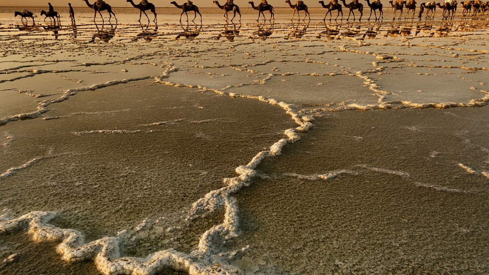 Stefano Pensotti, Salt pans of Lake Asale, Danakil Depression, Ethiopia. They have loaded the salt from the Dankalia open-air salt mines at -50m level. Their journey will lead them to Agula on the Ethiopian plateau at 2400m. Canon EOS 5D Mark II, EF24mm f/1.4L USM lens, f14, 1/60s, ISO 800.