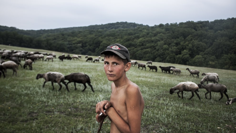Copyright: &copy; Ilya Bugaev, Moldova (Republic of), Shortlist, Youth, Diversity (2019 Youth competition), 2019 Sony World Photography Awards. For many years, work was in full swing in the gorge near Trinka village, Moldova. For centuries, lime was mined here, burned, and sent to all the surrounding area. Today, the walls of this natural quarry are overgrown with grass and trees, the old kilns have been destroyed, and this village is famous for its meadows rather than its fossil resources. However, there is enough work here now. Herds of sheep grazing require a shepherd. It was important for me to capture the calm and tranquility in the eyes of this young shepherd, cut off from work, knocked out of his routine by a visit from an unexpected guest. This is exactly what is rarely seen in the bustle of the city, in the eyes of those who work far from nature and whose leisure is not enriched by unity with beautiful natural landscapes.
